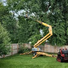 Best Grass Overseeding  in Greenville, FL